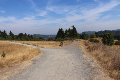 Viewpoint with rocks to sit on – off Summit Lane – wide natural surface trail